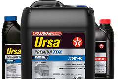 ursa